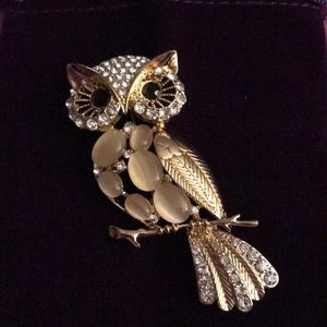 Gold plated owl pin owl 🦉